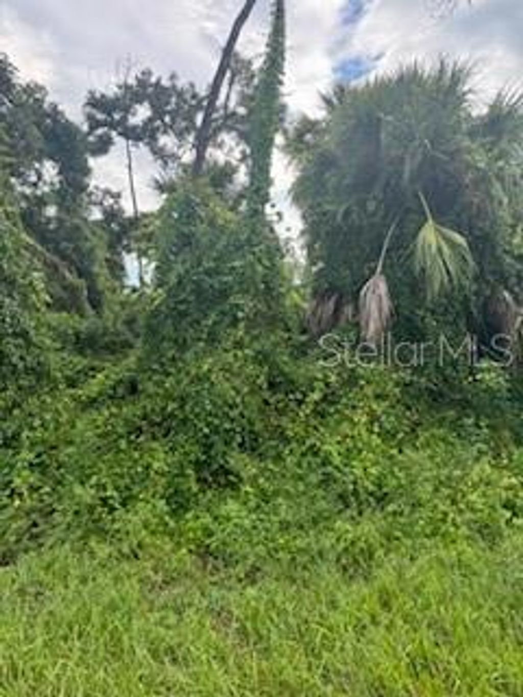 Photo of Jeannin Drive, North Port, FL 34288 (MLS # A4619996)