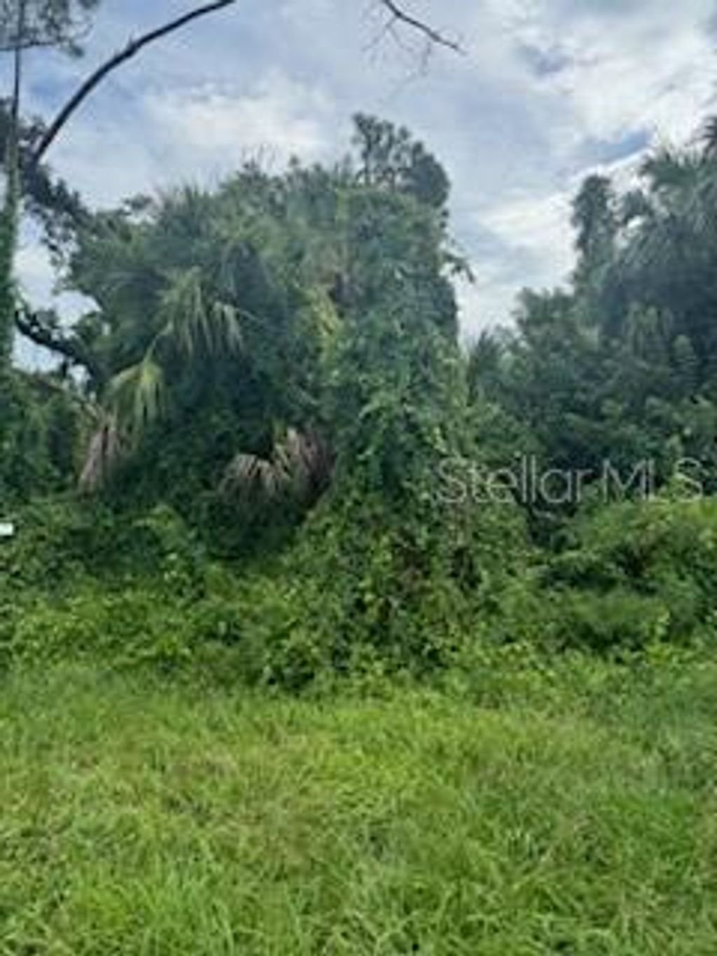 Photo of Jeannin Drive, North Port, FL 34288 (MLS # A4619996)