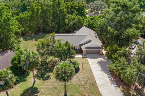 A home in DELTONA