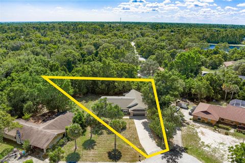 A home in DELTONA