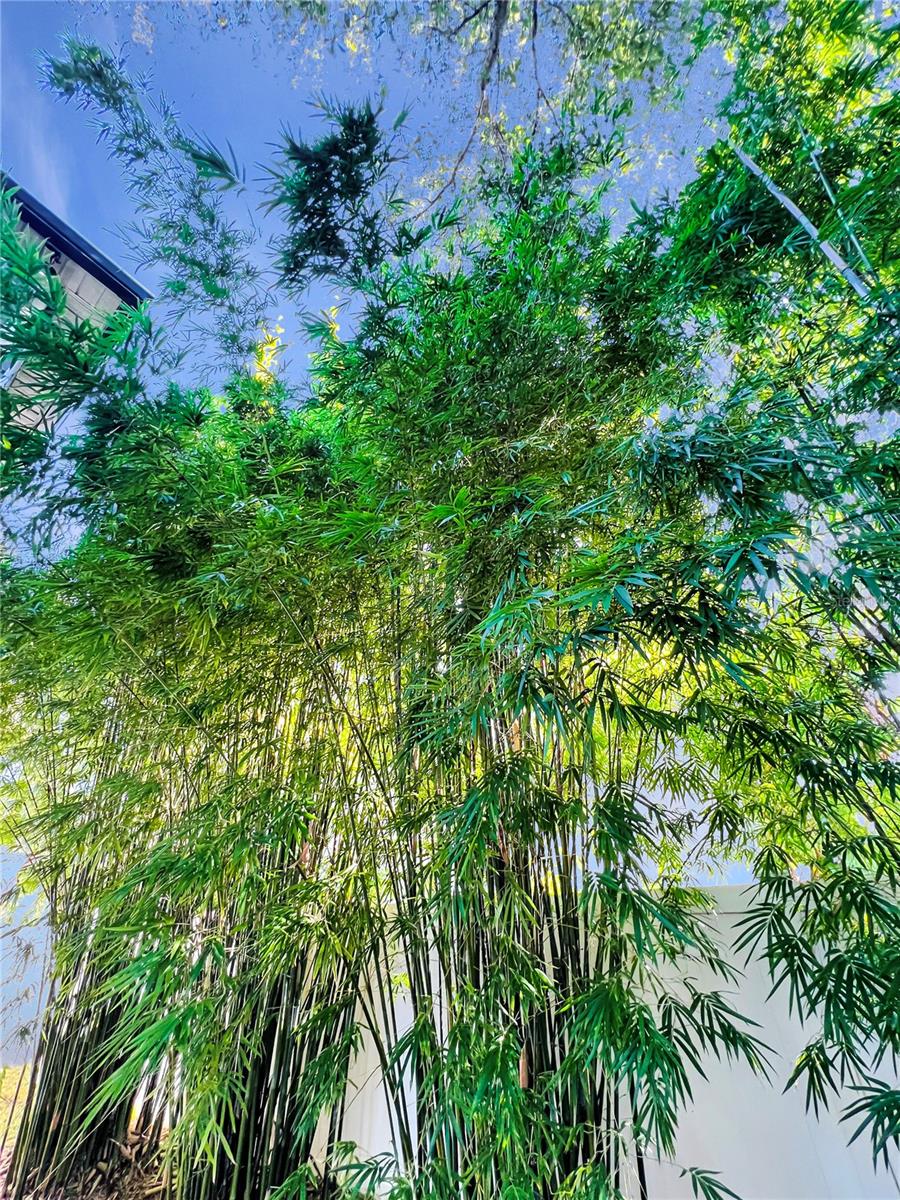 TRADDS LANDING - Residential