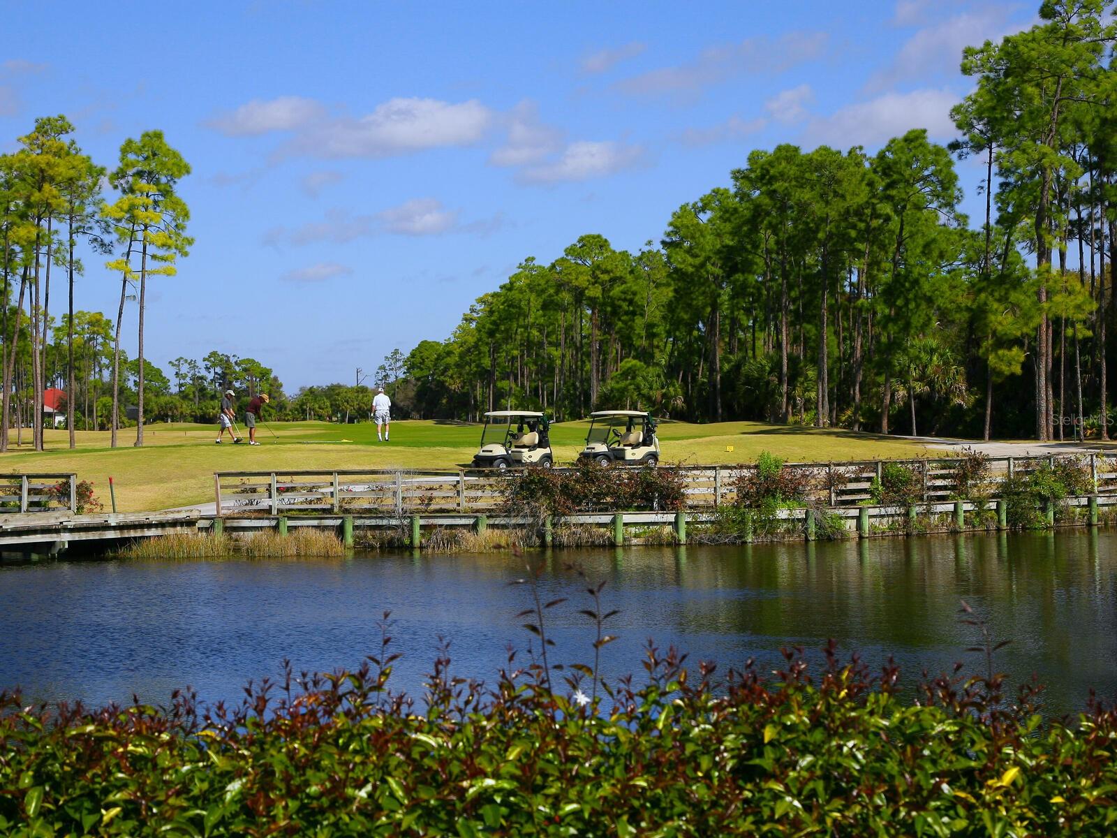 SAWGRASS - Residential