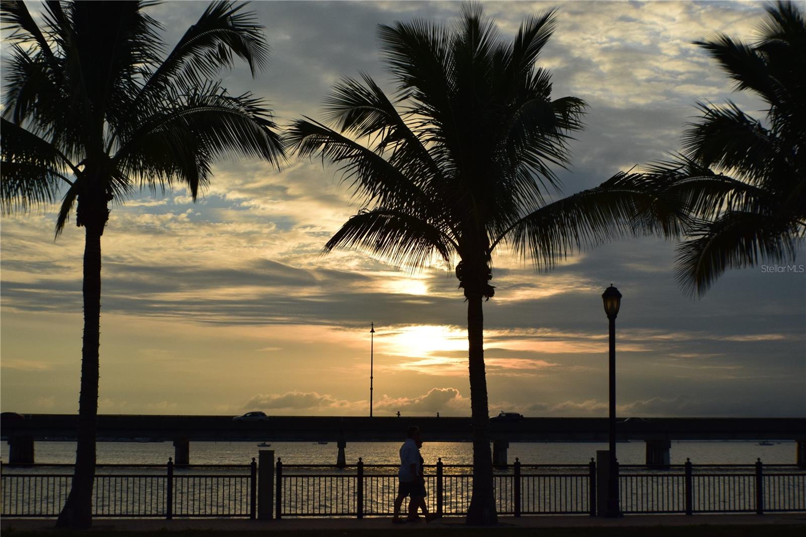 PALACIO DEL SOL - Residential