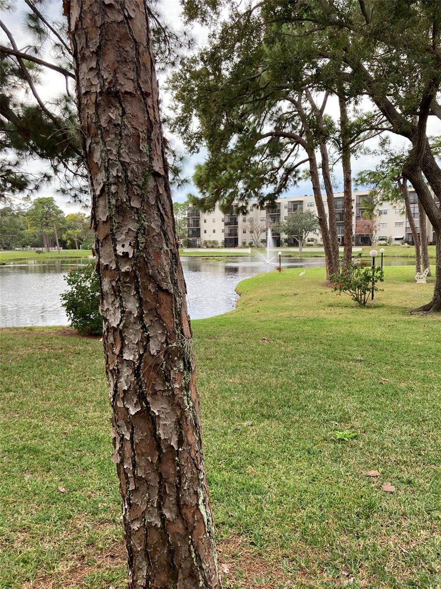 TERRACE PARK OF FIVE TOWNS - Residential