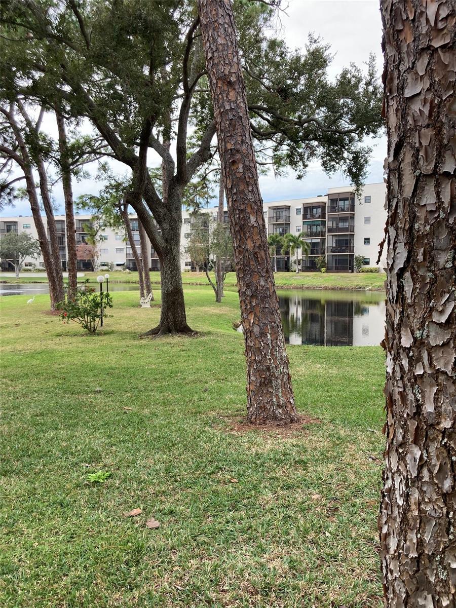 TERRACE PARK OF FIVE TOWNS - Residential