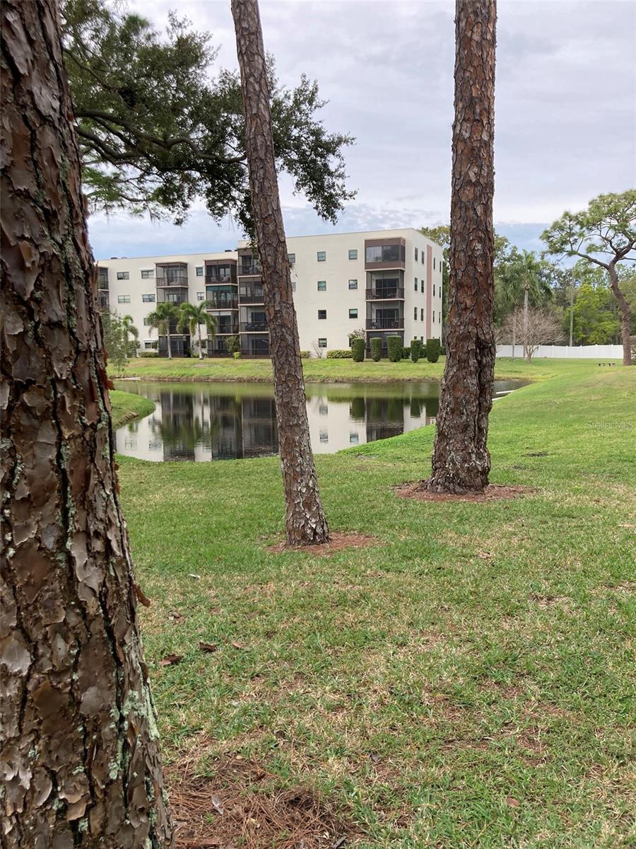 TERRACE PARK OF FIVE TOWNS - Residential