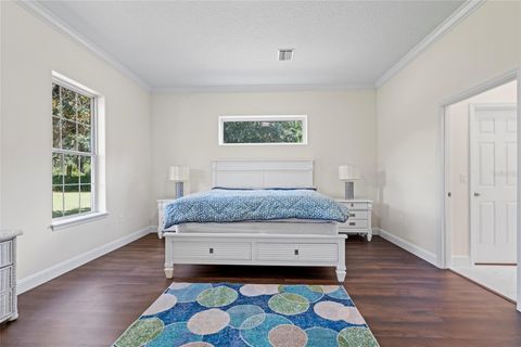 Tiny photo for 40026 County Road 452, Leesburg, FL 34788 (MLS # TB8458972)