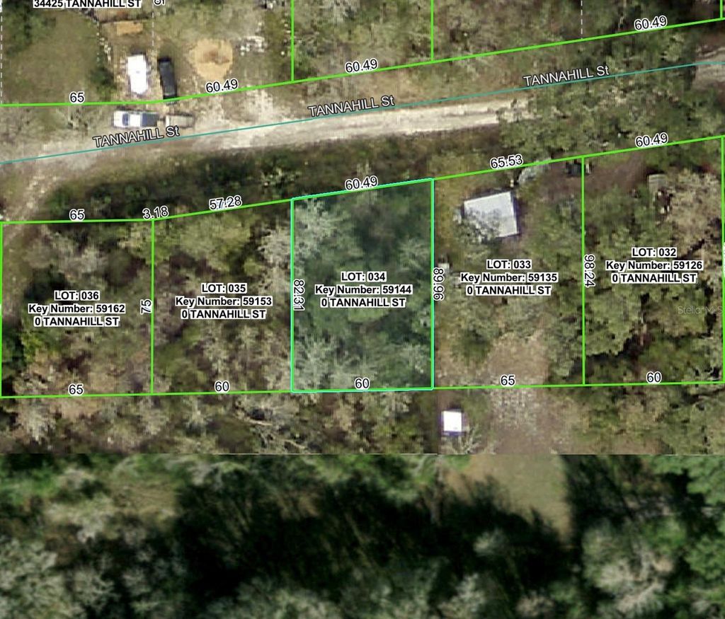 Photo of Tannahill Street, Dade City, FL 33523 (MLS # W7879460)