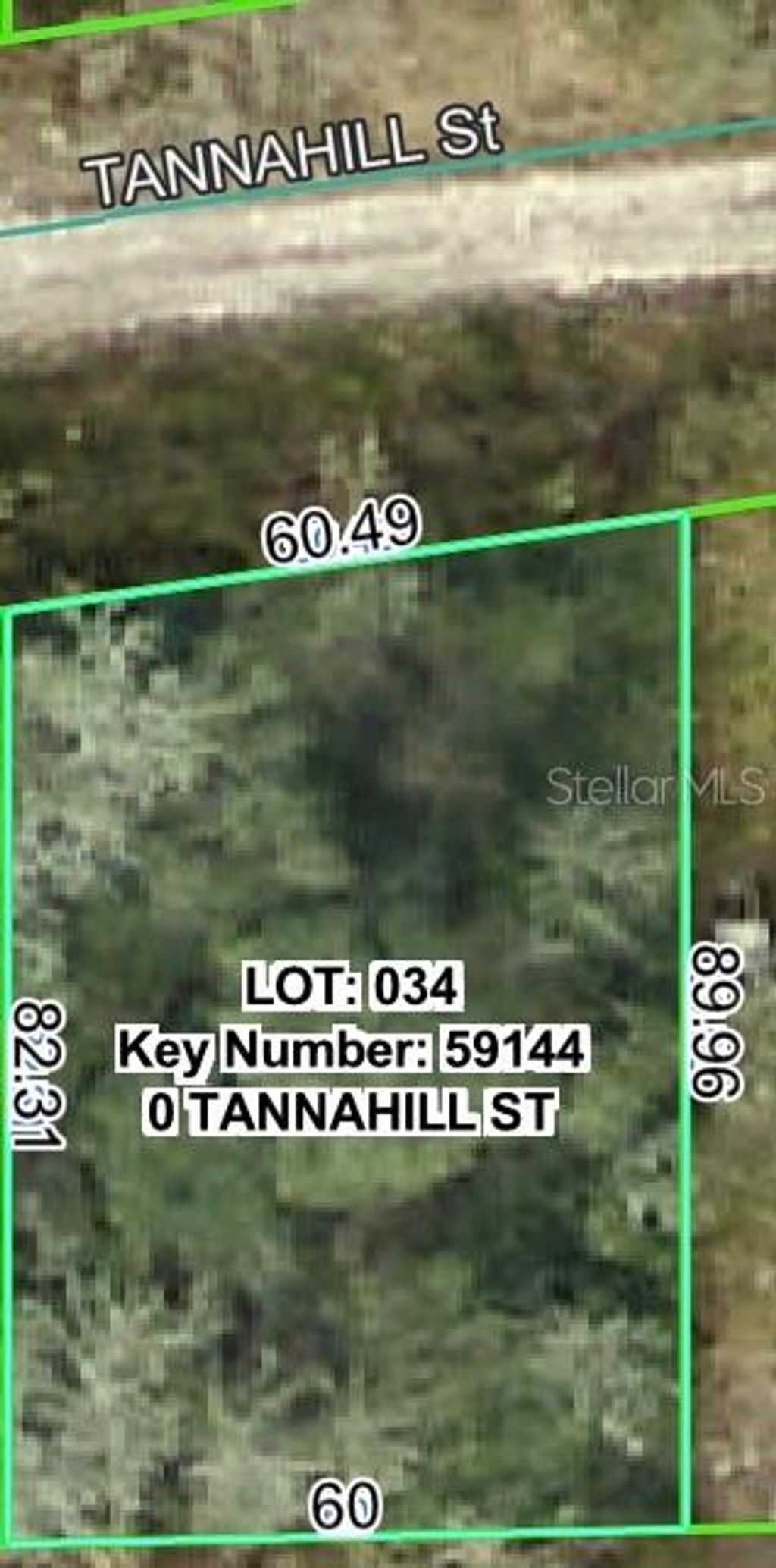 Photo of Tannahill Street, Dade City, FL 33523 (MLS # W7879460)