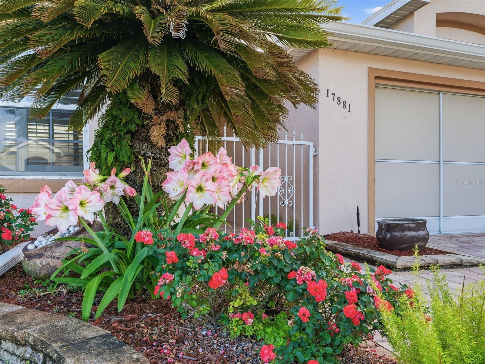 STONECREST - Residential