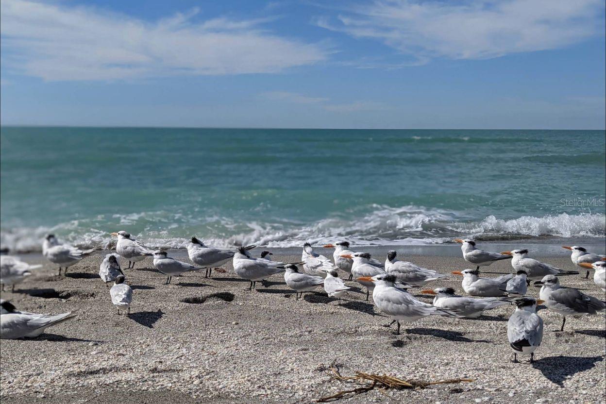 CASA DI AMICI - Residential
