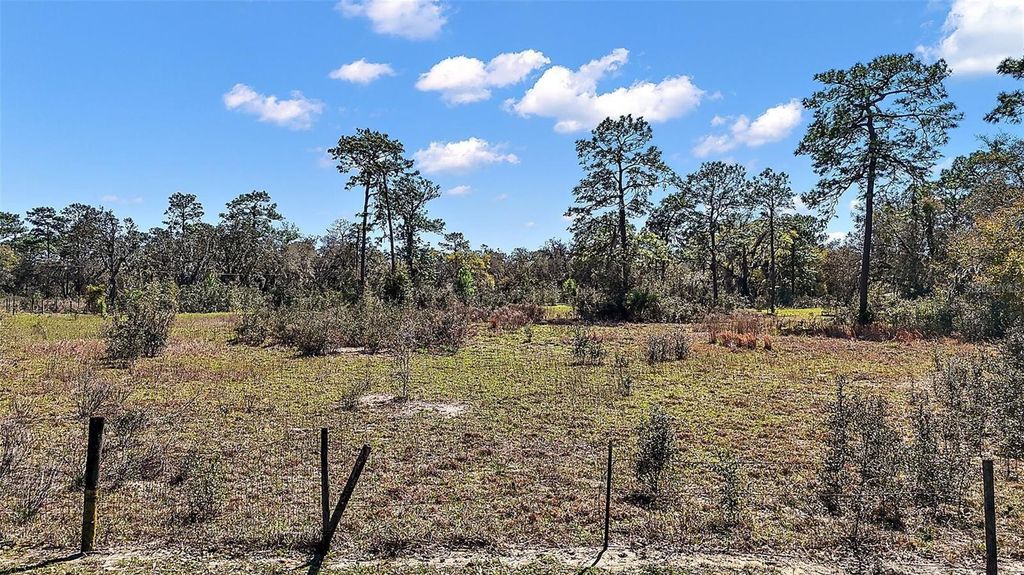 Photo of 2700 Lent Road, Apopka, FL 32712 (MLS # O6380809)