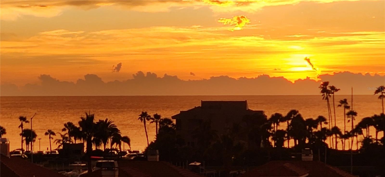 HARBORAGE CONDO CLEARWATER - Residential