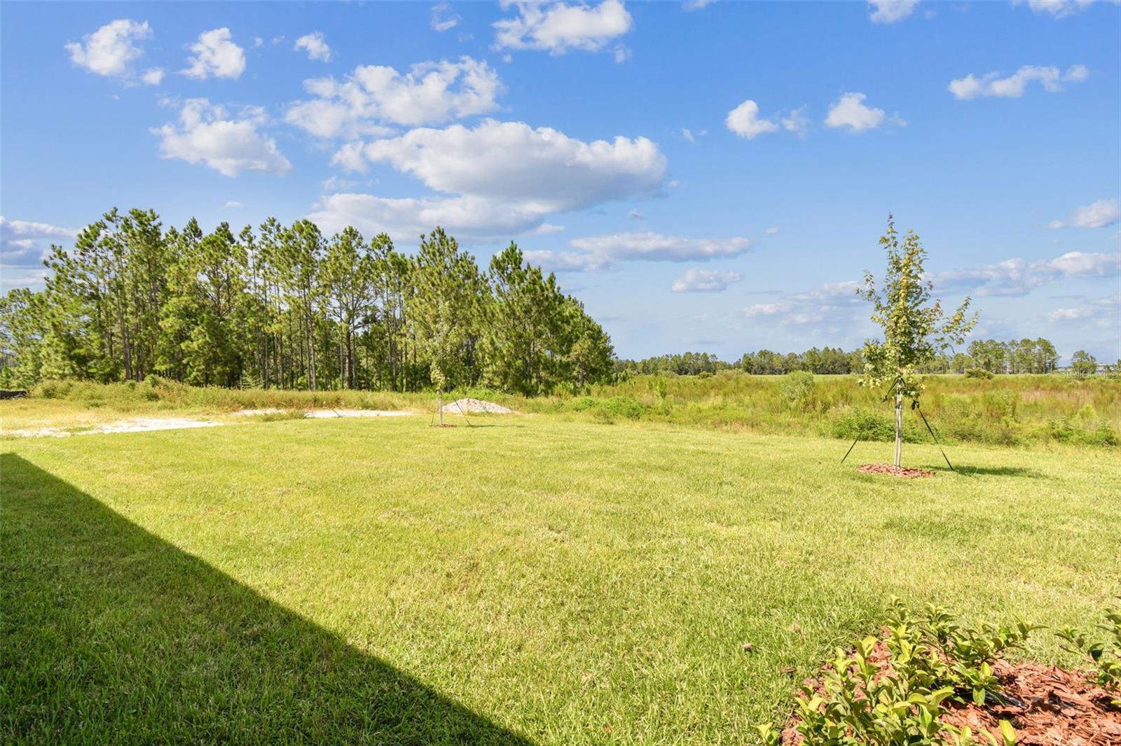 TAMARACK AT TWO RIVERS - Residential