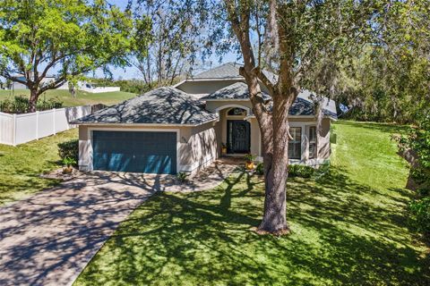 33142 KAYLEE WAY LEESBURG FL 34788