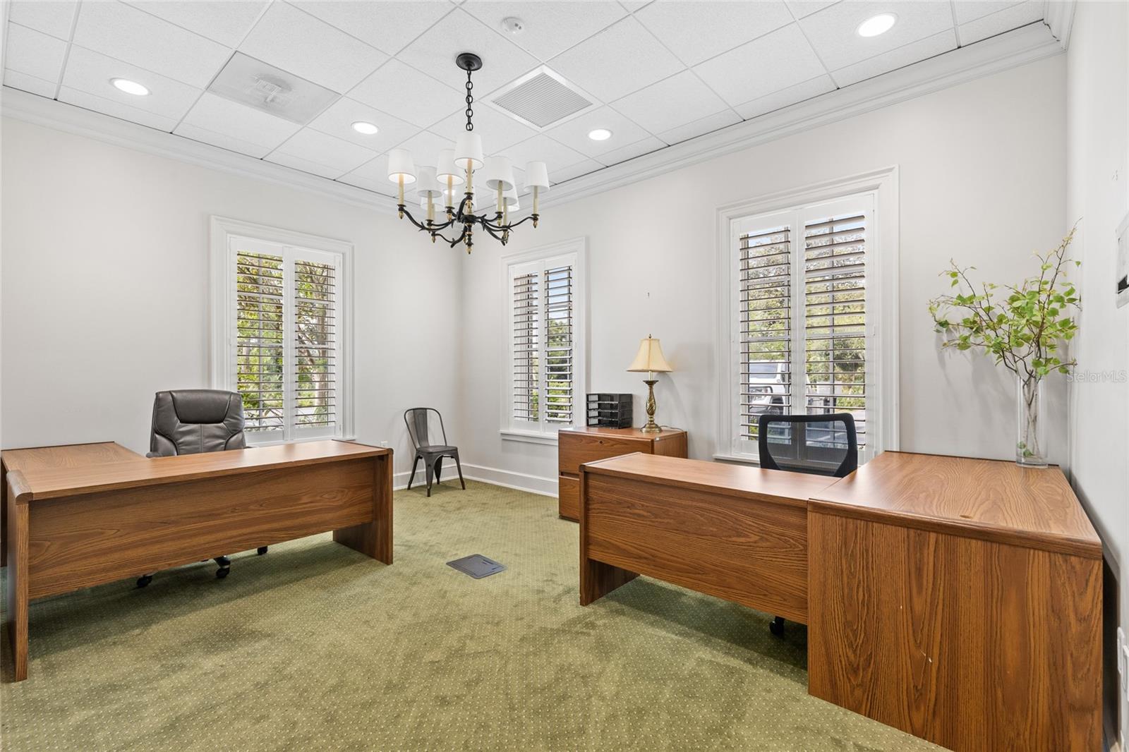 ORIGINAL TOWN/MAYO - Commercial Sale