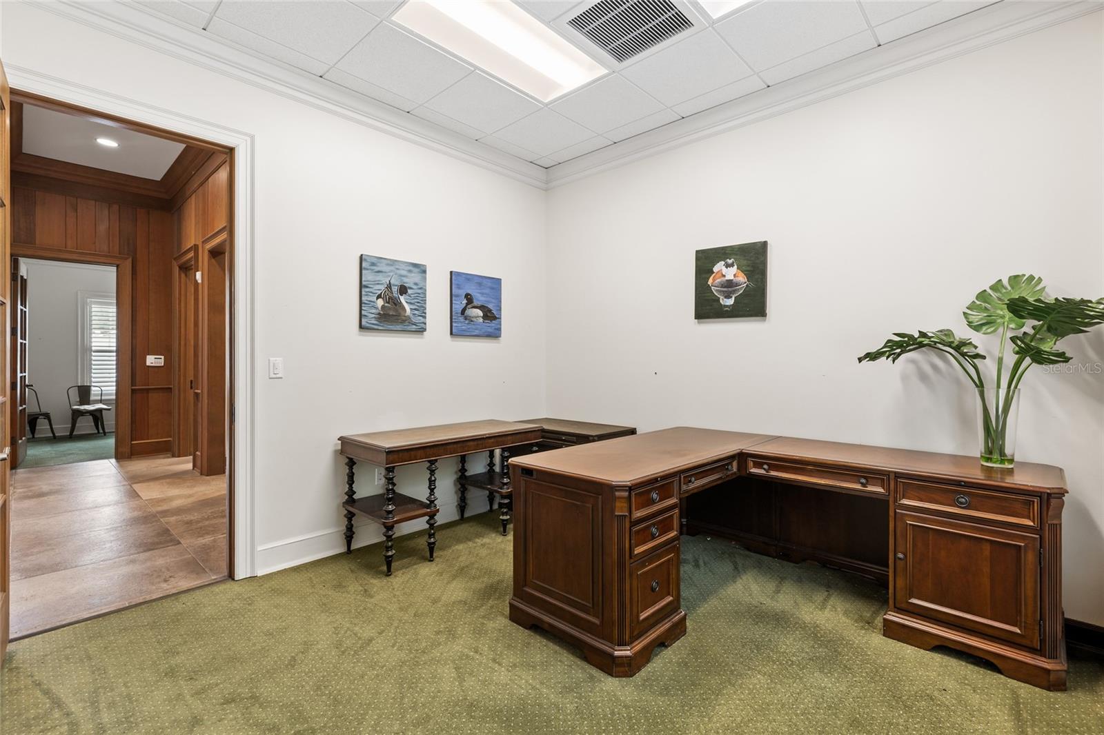 ORIGINAL TOWN/MAYO - Commercial Sale