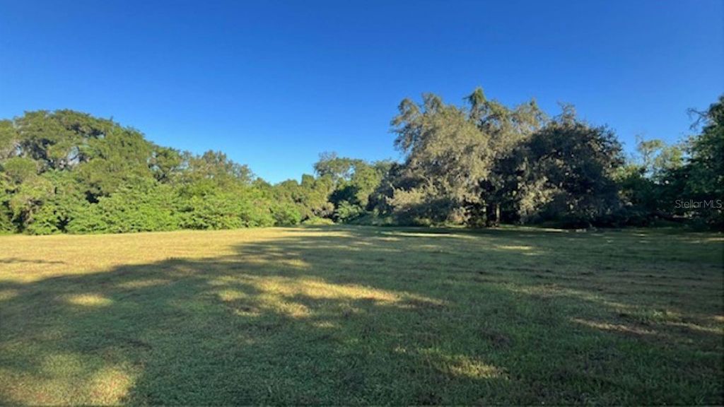 Photo of 4806 N Falkenburg Road, Tampa, FL 33610 (MLS # TB8458816)