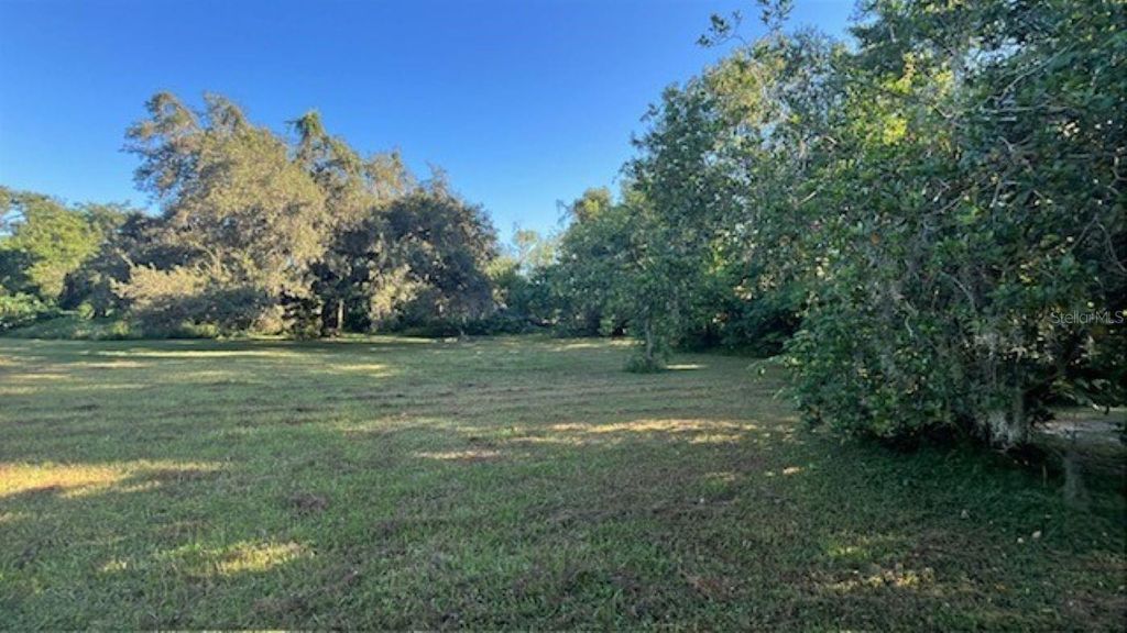 Photo of 4806 N Falkenburg Road, Tampa, FL 33610 (MLS # TB8458816)