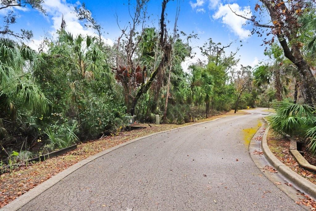 ALAFIA PRESERVE - Land