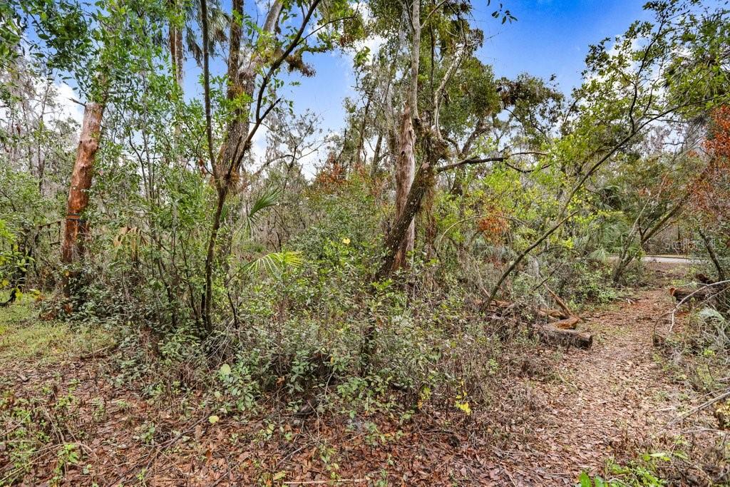 ALAFIA PRESERVE - Land