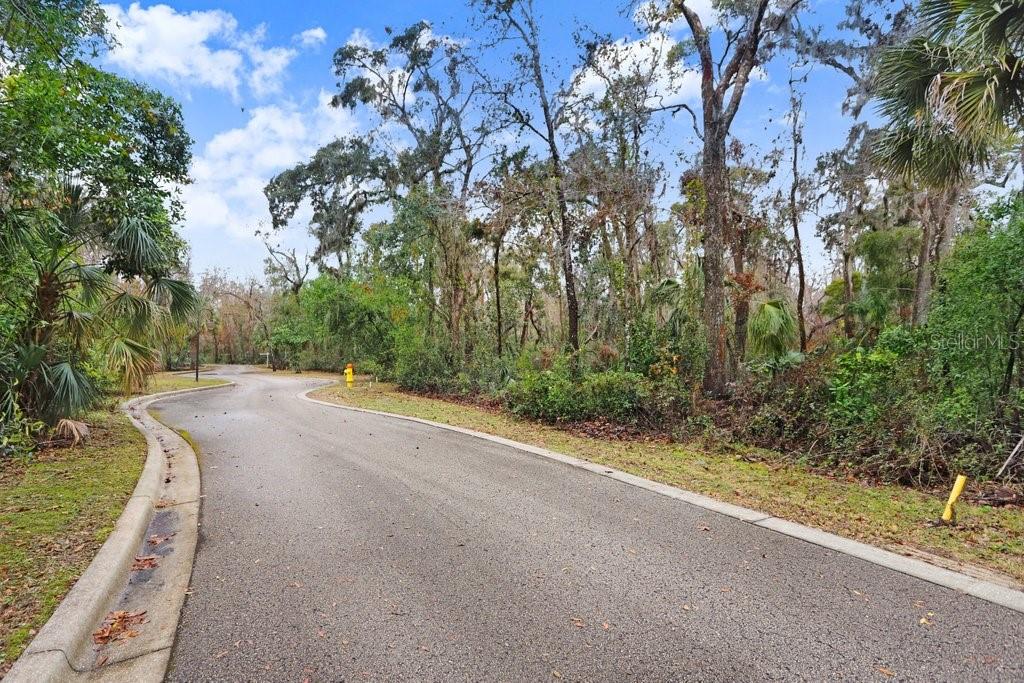 ALAFIA PRESERVE - Land