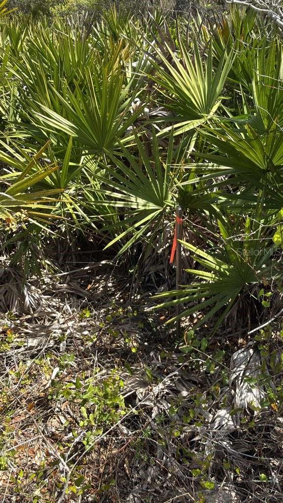 DESOTO CITY 02 SEC 22 - Land