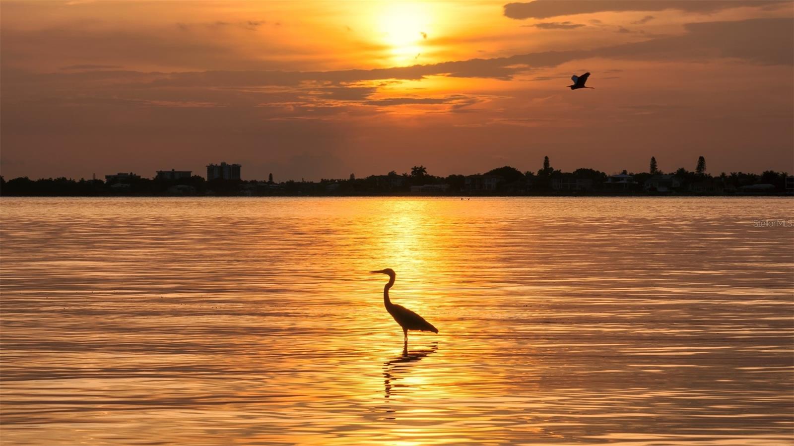 BIRD KEY SUB - Residential