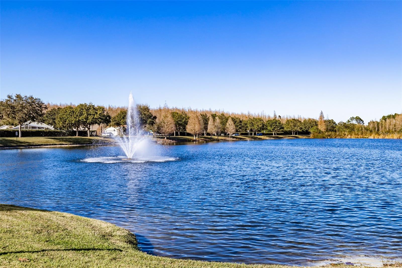 LAKEVIEW AT CALUSA TRACE - Residential