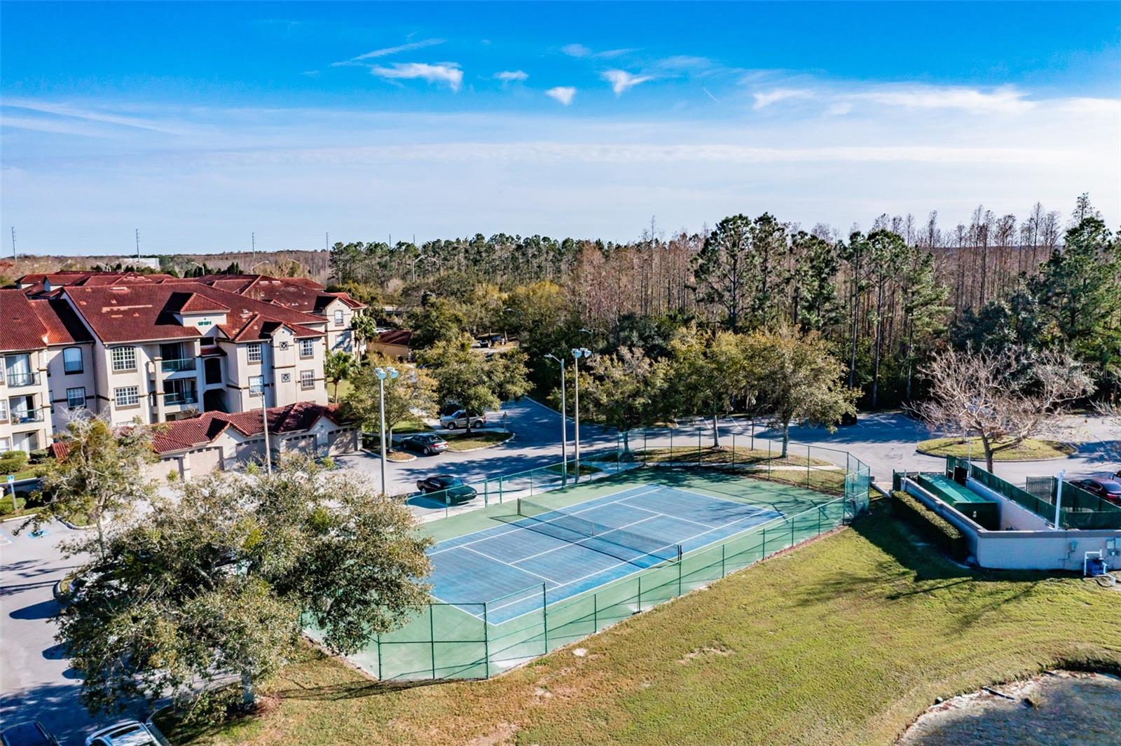 LAKEVIEW AT CALUSA TRACE - Residential