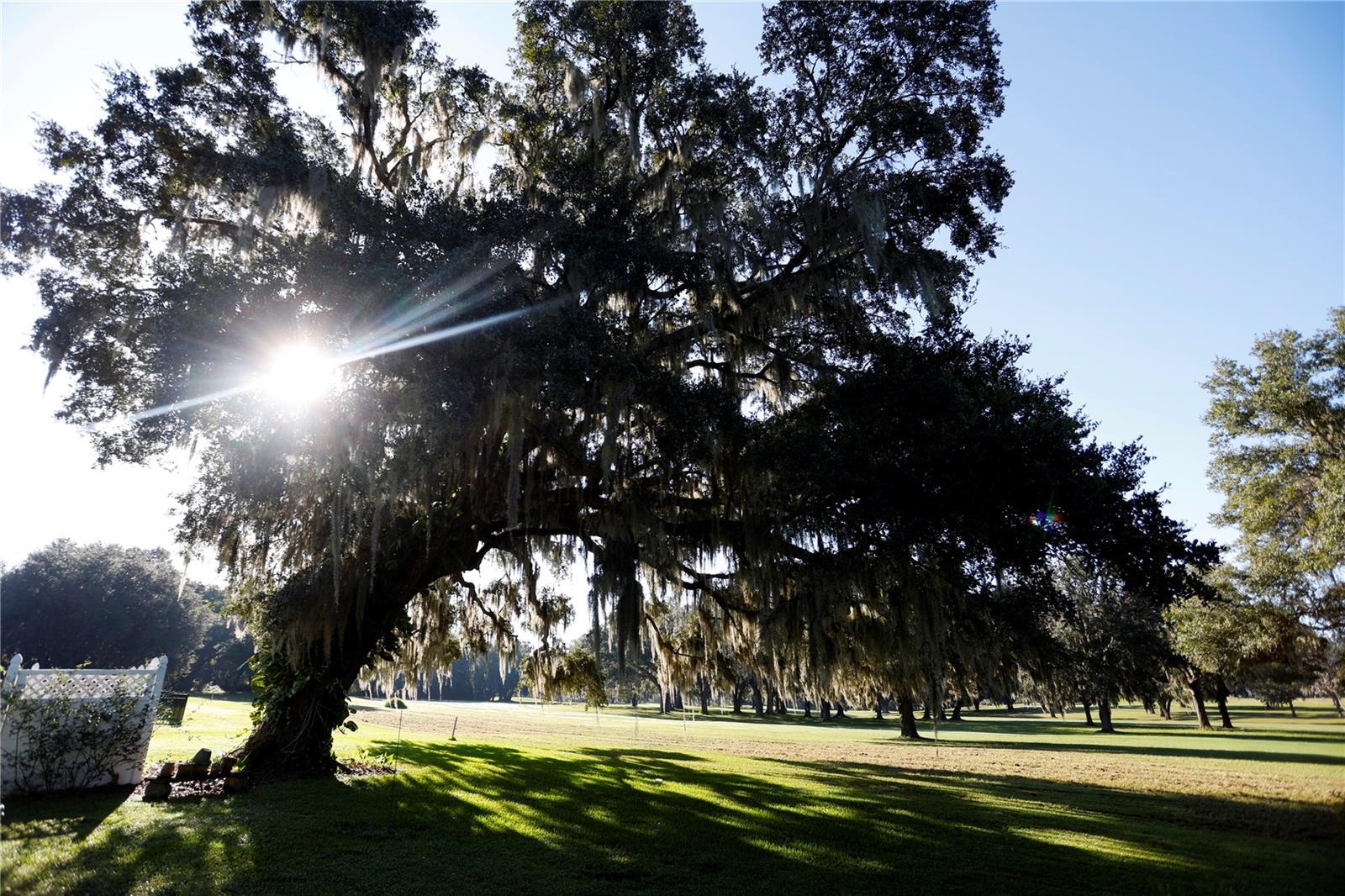 DOGWOOD ESTATE PH I - Residential