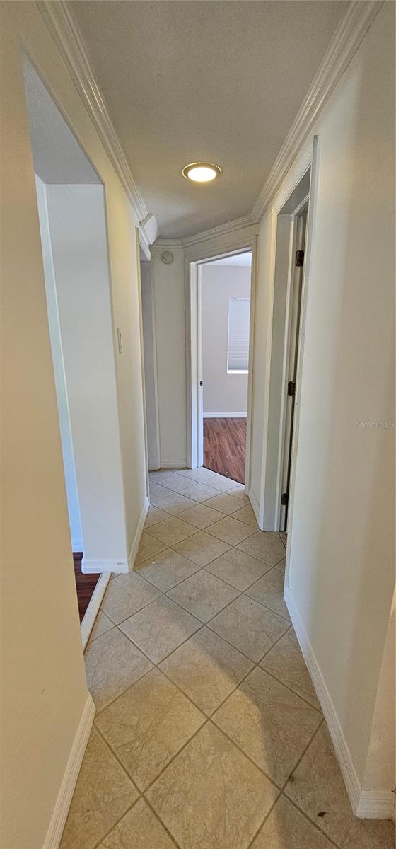 HANOUSEK F E & M M - Residential Lease