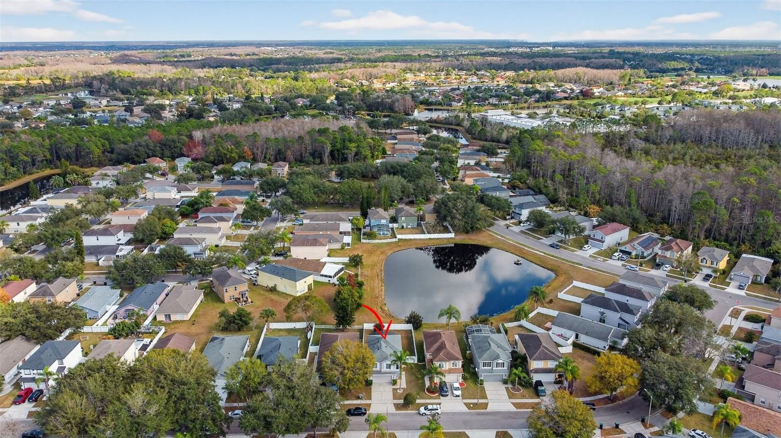 STONE FOREST - Residential