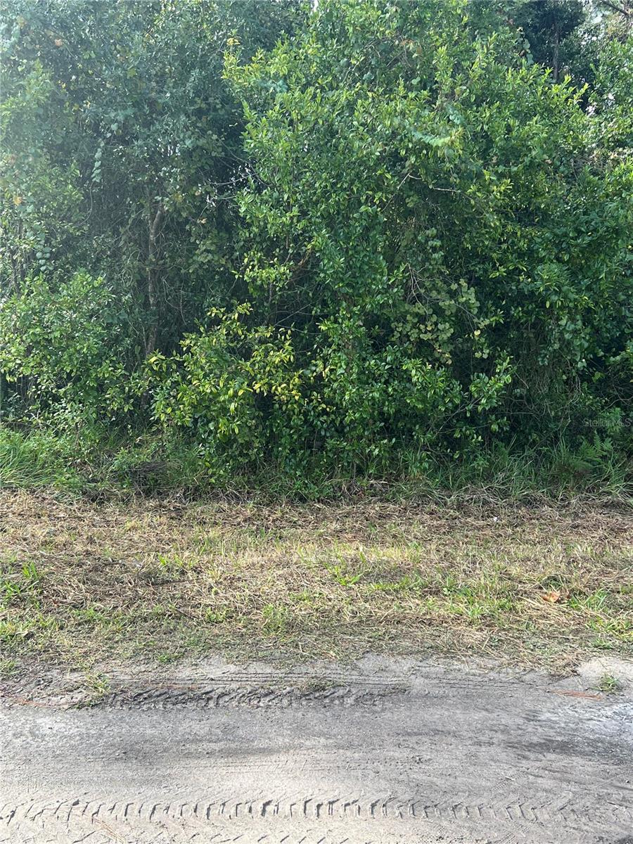 EUSTIS LAKE EUSTIS PLACE - Land