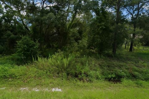 2851 LANDOVER BOULEVARD SPRING HILL FL 34608