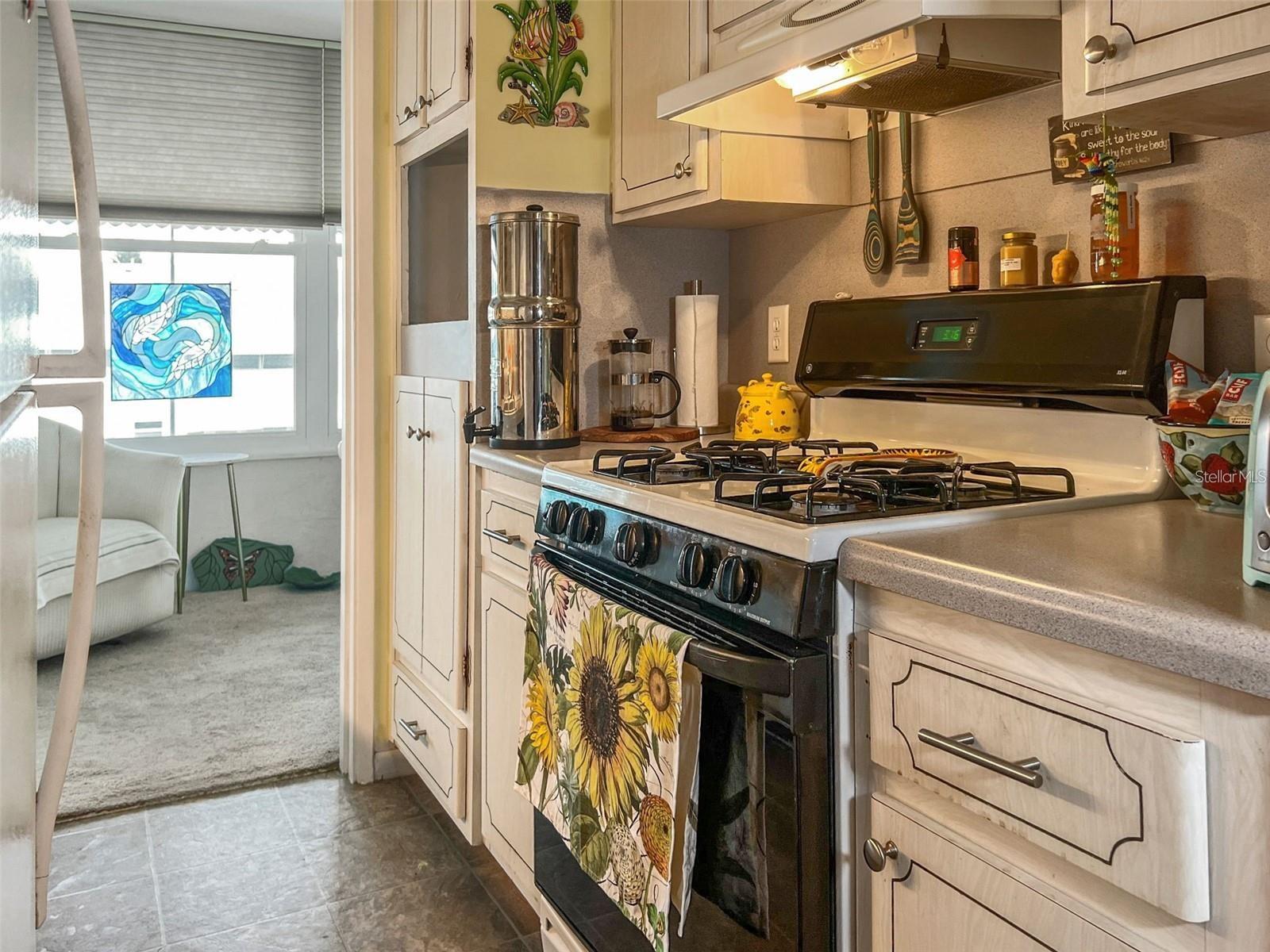 TOWN APTS CONDO - Residential
