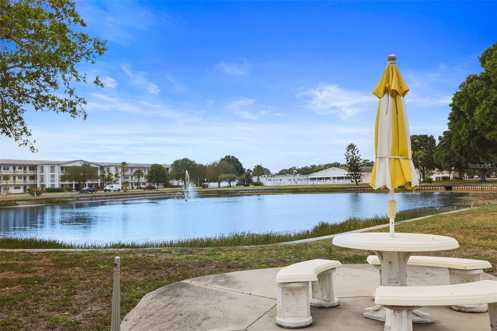 TOWN APTS CONDO - Residential