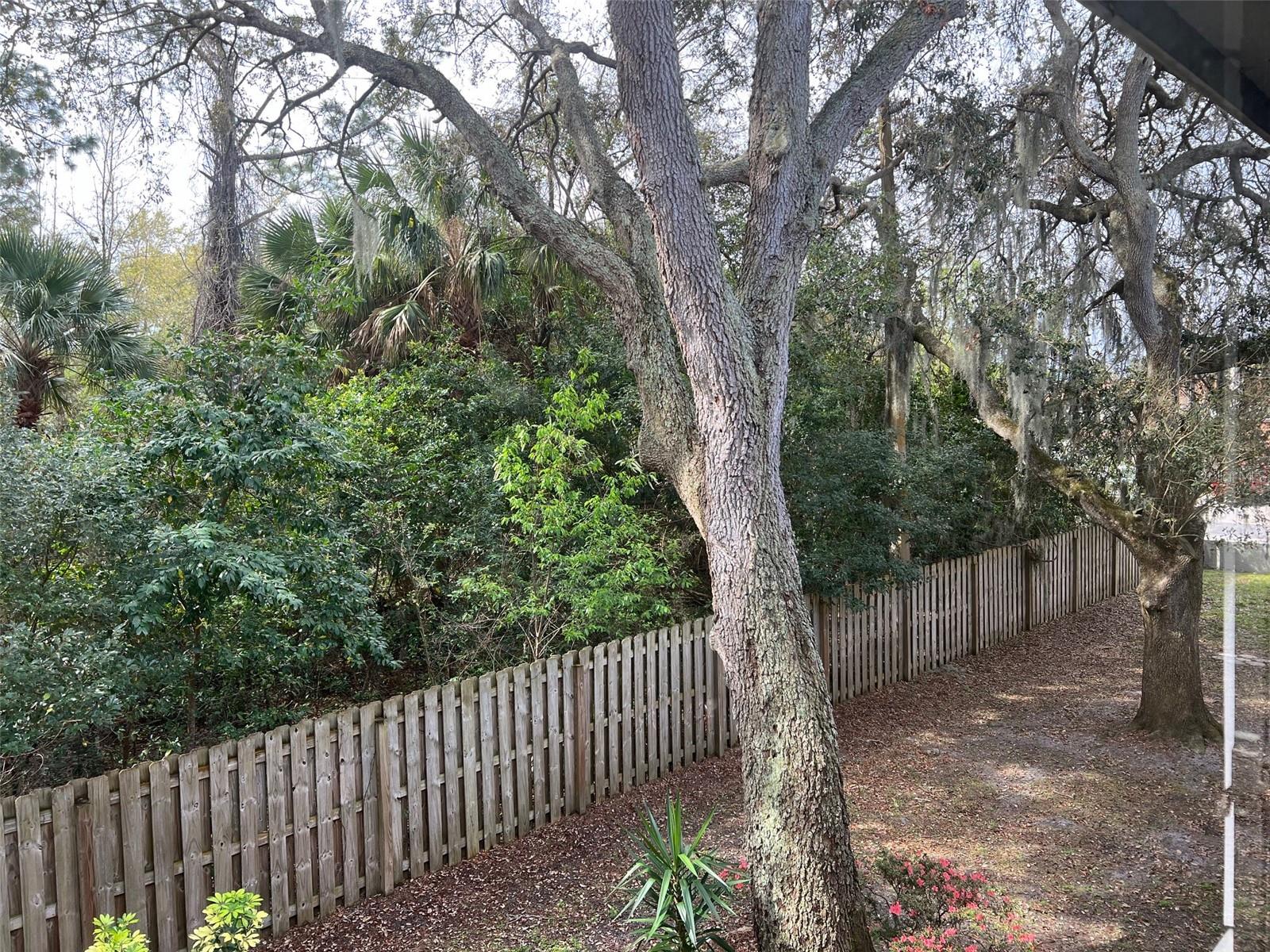 VILLAGE SQUARE/TITUSVILLE - Residential