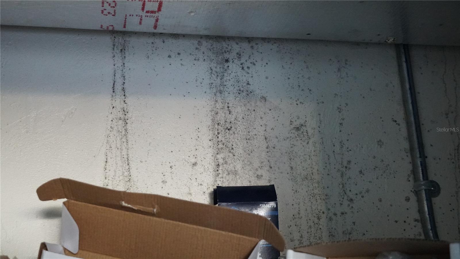 PORT CHARLOTTE SEC 033 - Residential