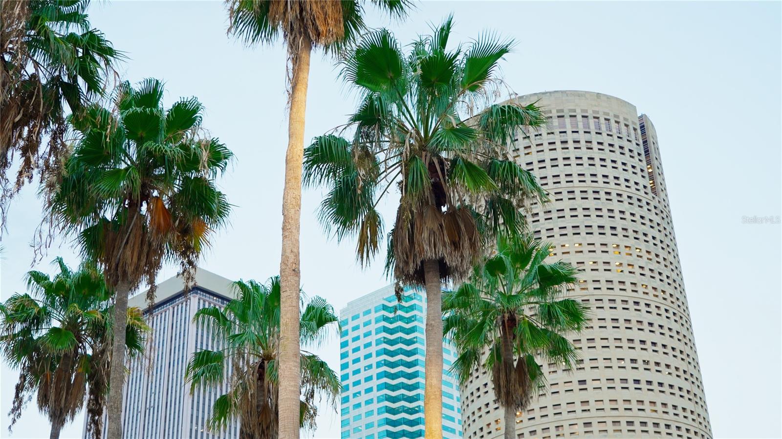 ONE LAUREL PLACE A CONDO - Residential