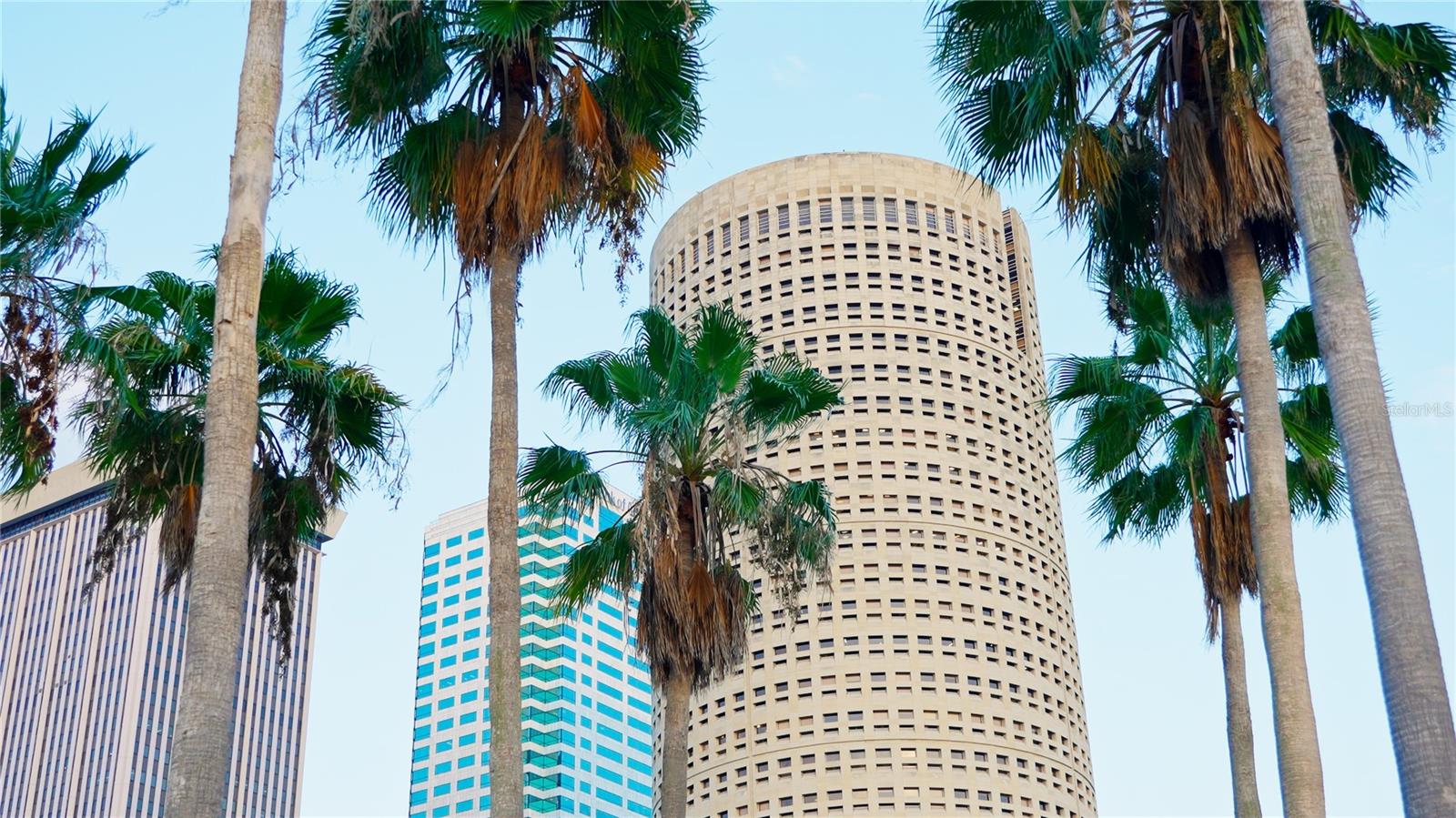 ONE LAUREL PLACE A CONDO - Residential