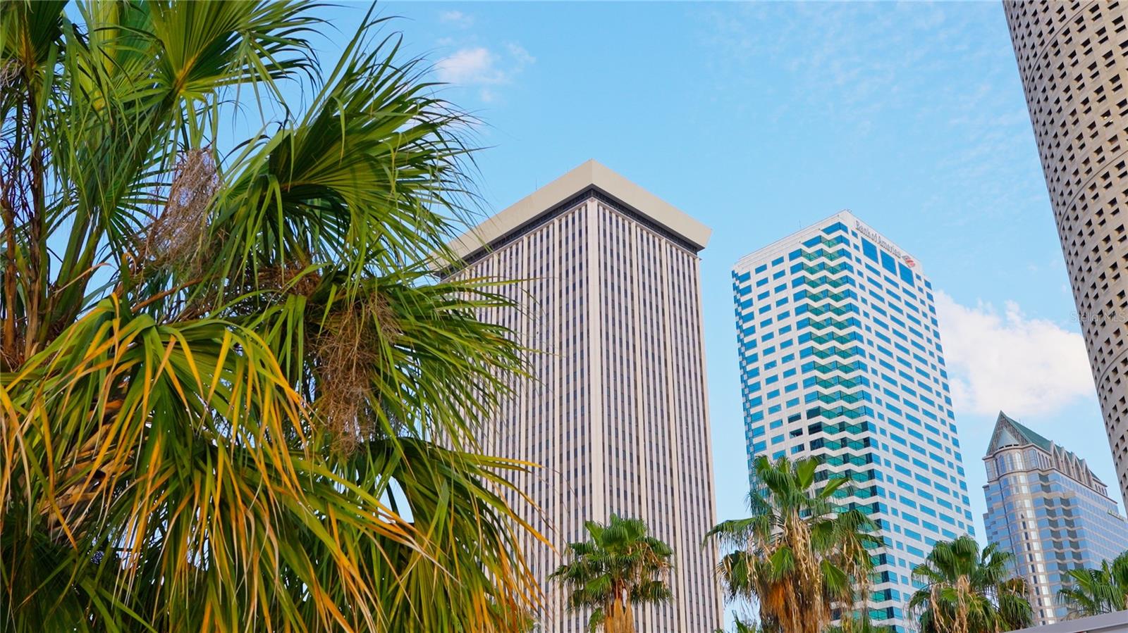 ONE LAUREL PLACE A CONDO - Residential