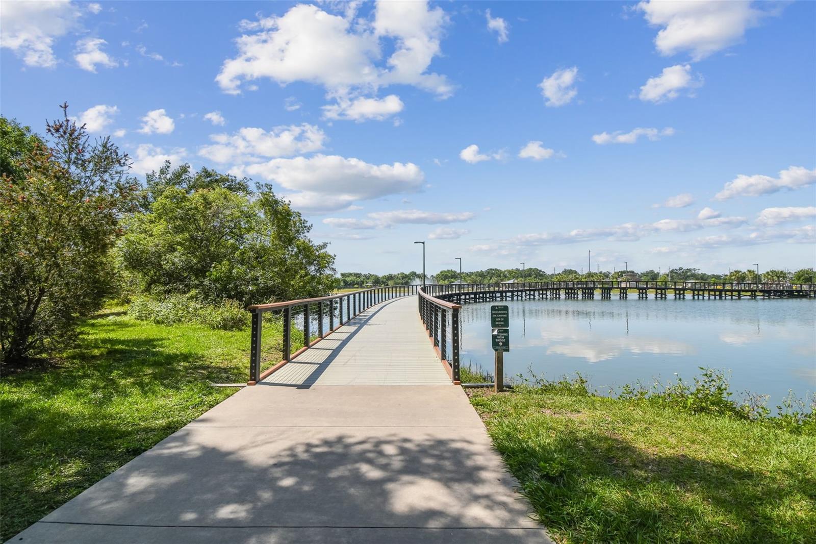 SANCTUARY AT CARROLLWOOD - Residential