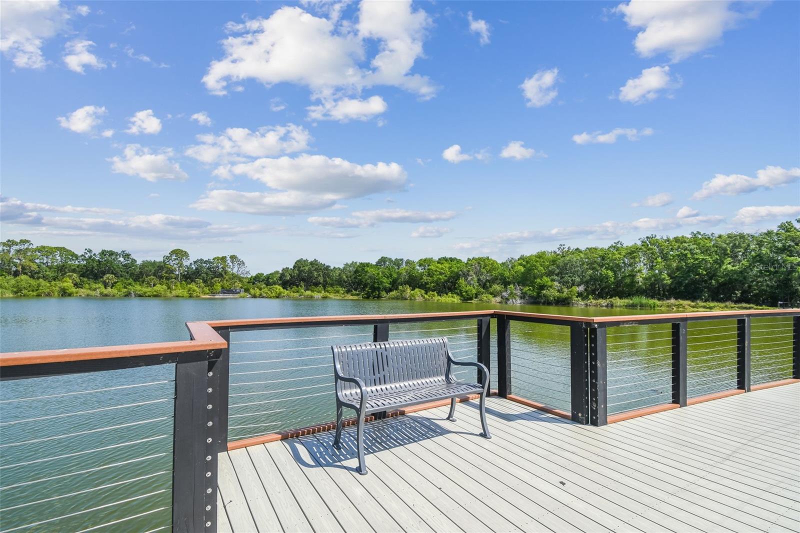 SANCTUARY AT CARROLLWOOD - Residential