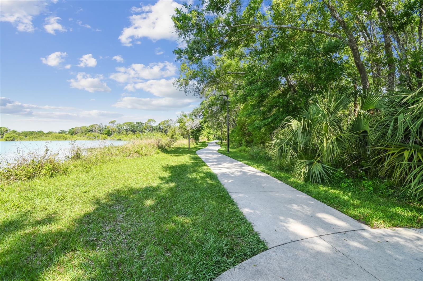 SANCTUARY AT CARROLLWOOD - Residential