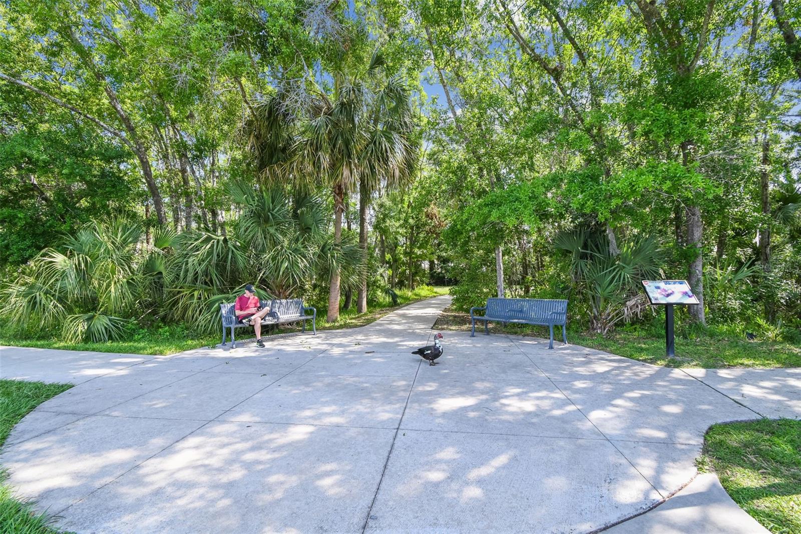 SANCTUARY AT CARROLLWOOD - Residential