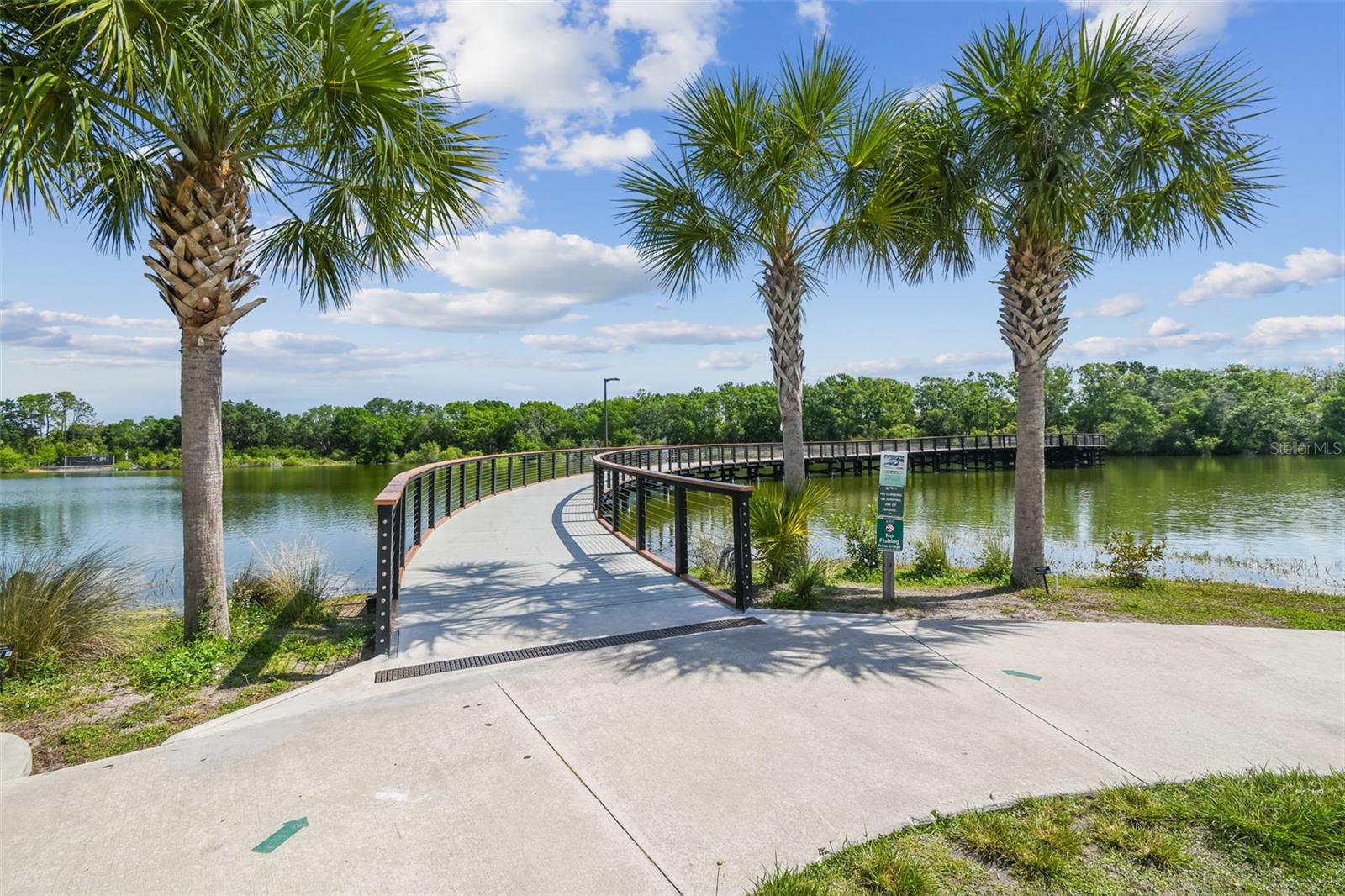 SANCTUARY AT CARROLLWOOD - Residential