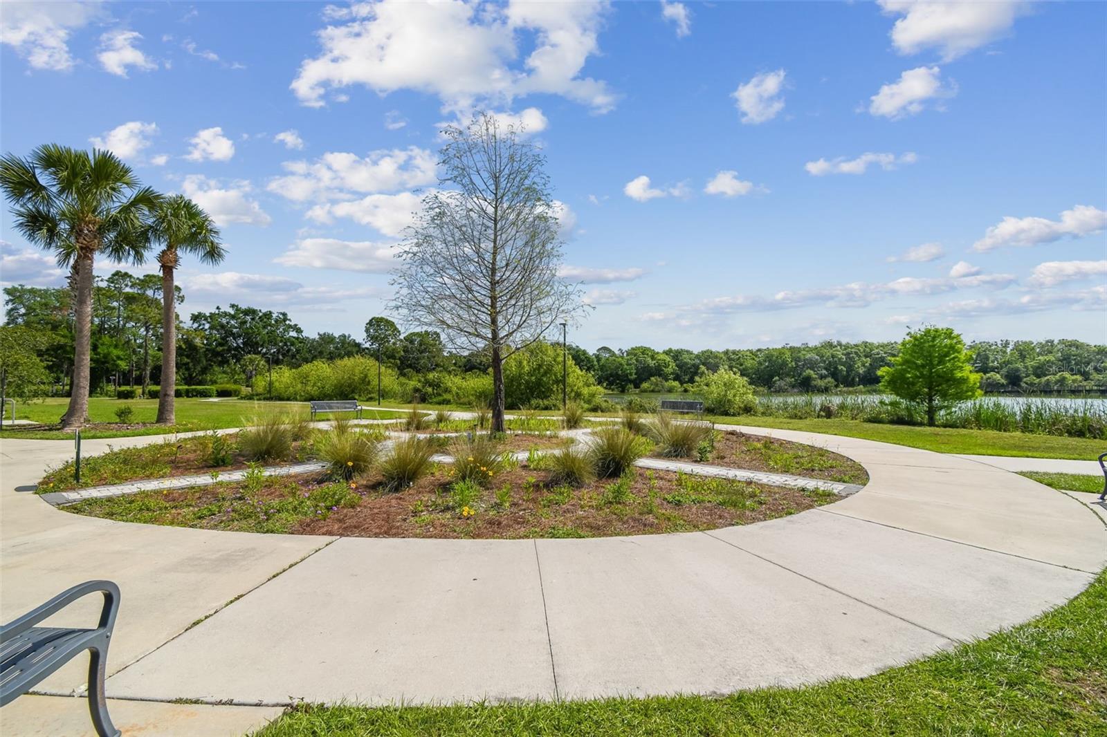 SANCTUARY AT CARROLLWOOD - Residential