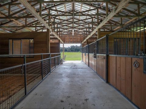 Tiny photo for 13211 NW 115th Street, Ocala, FL 34482 (MLS # OM707707)