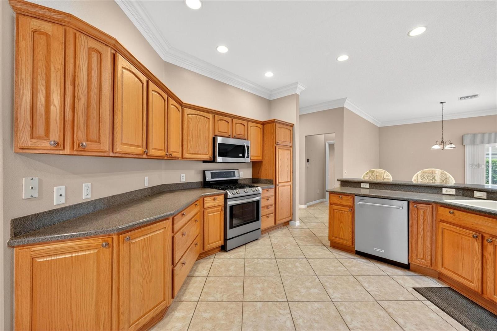 VILLAGES OF SUMTER - Residential